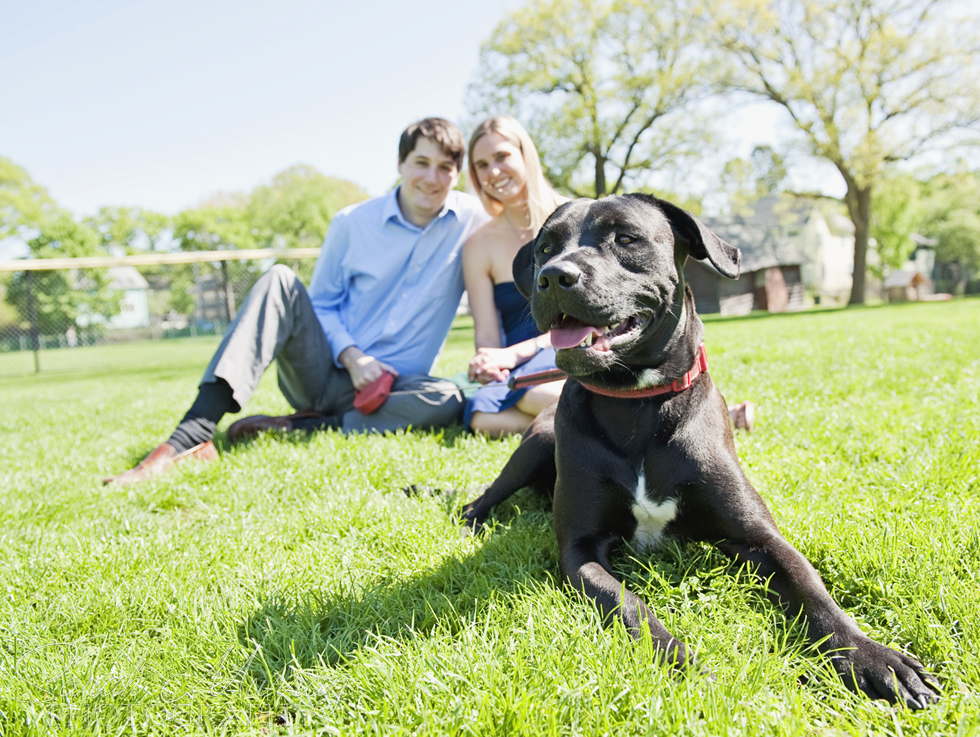 Brookline Engagement Session - Sarah Murray Photography