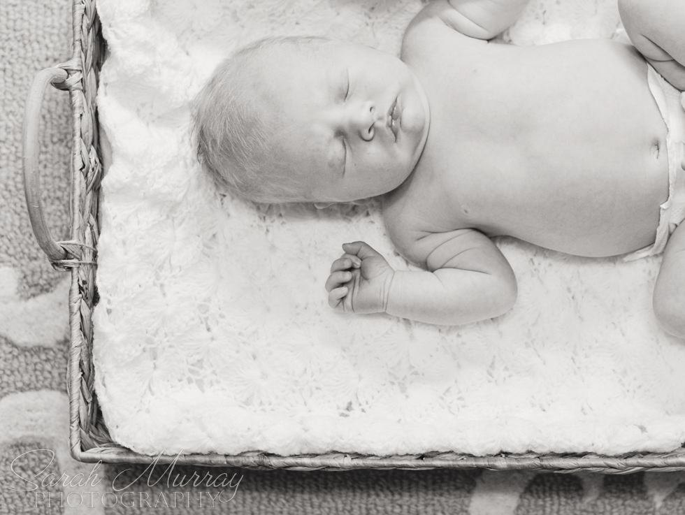 Newborn Baby Photo Session - Sarah Murray Photography