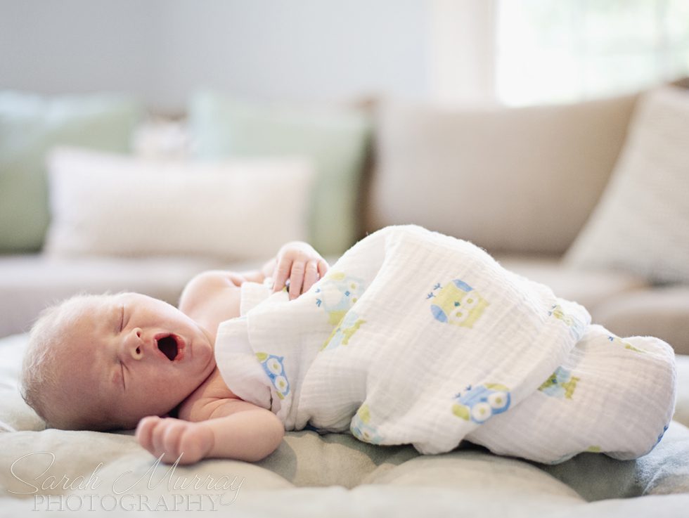 Newborn Baby Photo Session - Sarah Murray Photography