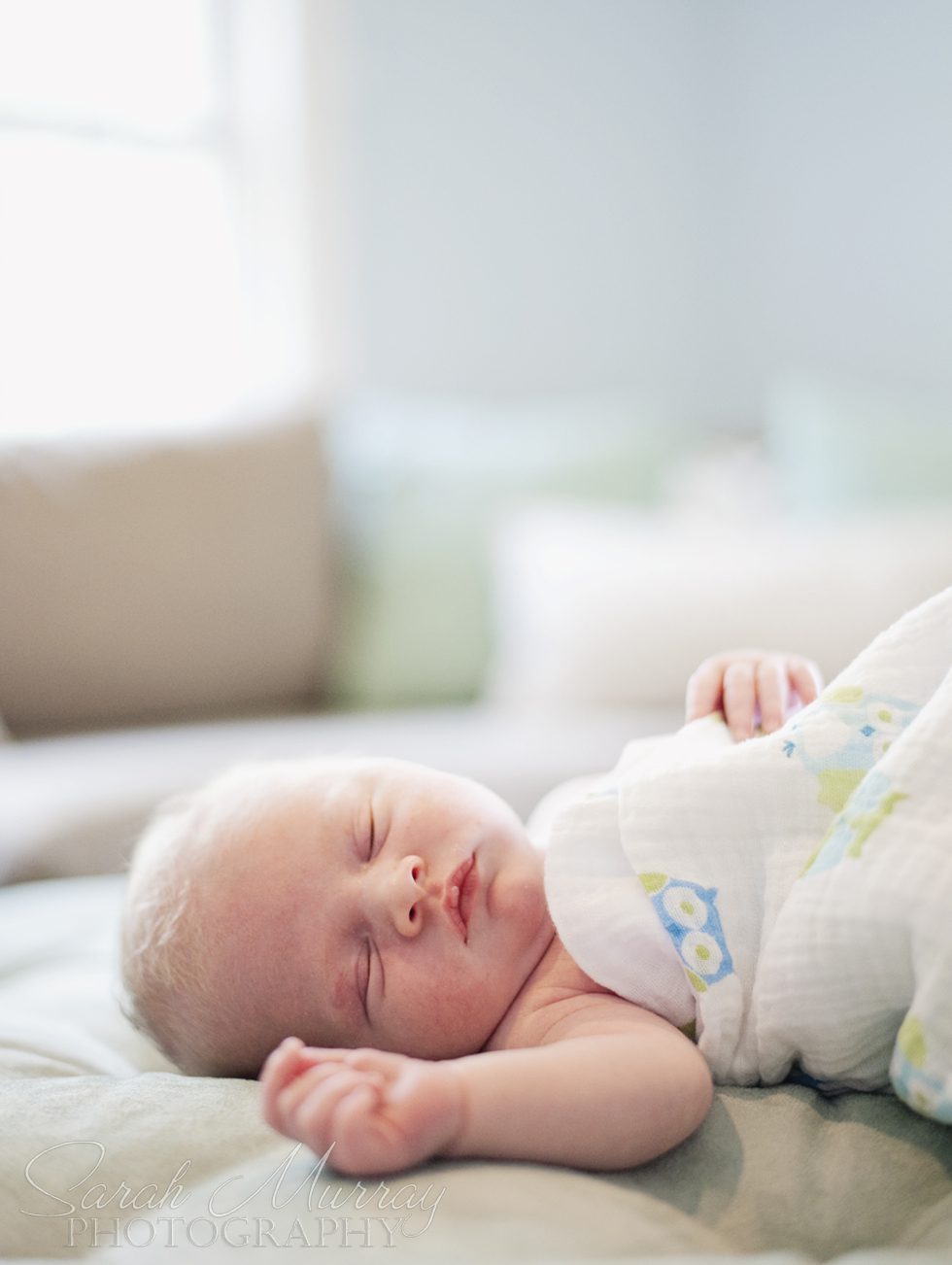 Newborn Baby Photo Session - Sarah Murray Photography