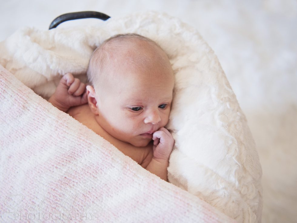 Baby Arriah Mae Newborn Session Cape Cod, Massachusetts - Sarah Murray Photography