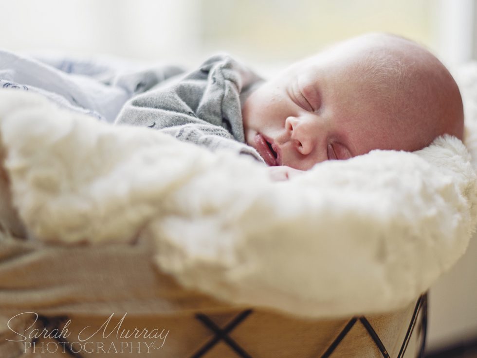 Baby Zachary & Julian Newborn Twins Session, Rhode Island - Sarah Murray Photography