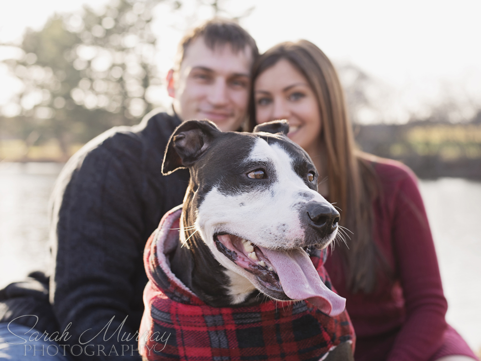 Engagement Session at Chase Farm in Lincoln, Rhode Island - Sarah Murray Photography